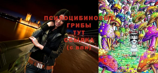 бошки Магас