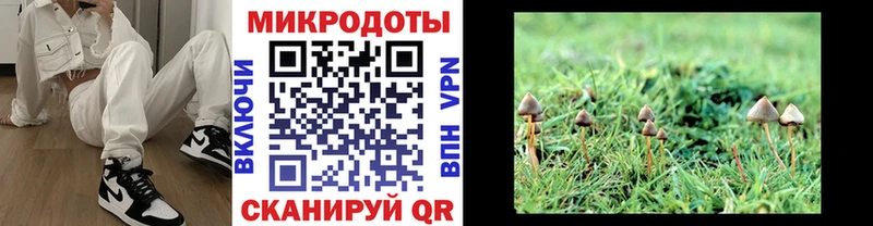 Псилоцибиновые грибы прущие грибы  закладка  Березники 