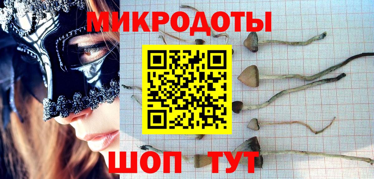 Галлюциногенные грибы MAGIC MUSHROOMS Березники